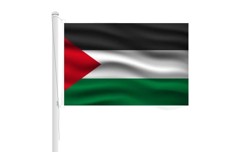 Vlag Palestina