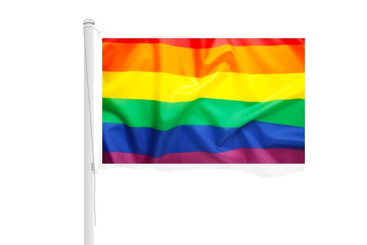 Regenboog vlag