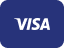 visa-payment