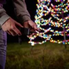 Combi deal - Vlaggenmast 8 meter + Fairybell verlichting - Afbeelding 10